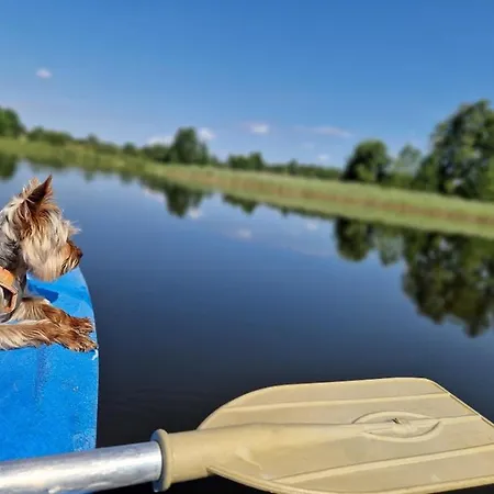 Osada Pod Gwiazdami & - Premium, Ogrodzony, Ognisko, Grill, Taras, Las, Jeziora, Kajaki, Plaza, Dostepne Sauna I Jacuzzi Nyaraló