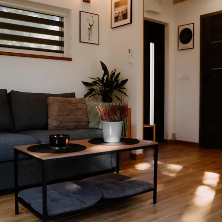 Osada Pod Gwiazdami & - Premium, Ogrodzony, Ognisko, Grill, Taras, Las, Jeziora, Kajaki, Plaza, Dostepne Sauna I Jacuzzi * Lasko