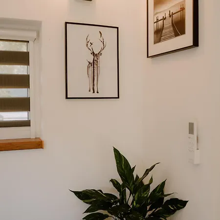 Nyaraló Osada Pod Gwiazdami & - Premium, Ogrodzony, Ognisko, Grill, Taras, Las, Jeziora, Kajaki, Plaza, Dostepne Sauna I Jacuzzi Lasko